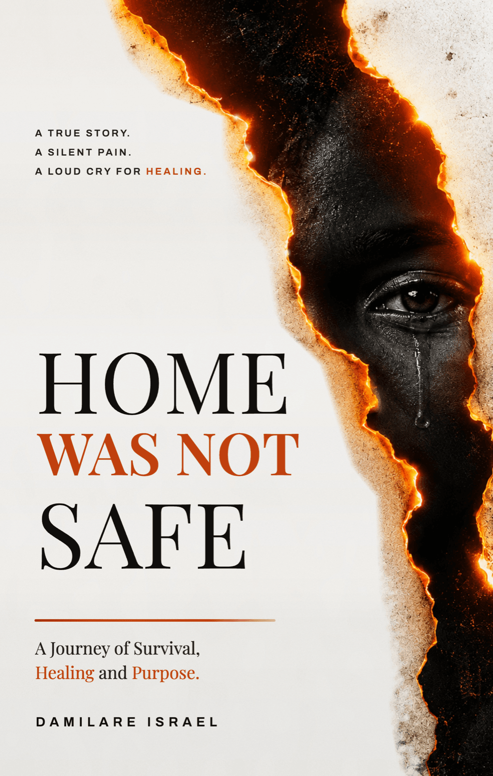 Front cover of Home Was Not Safe by Damilare Israel